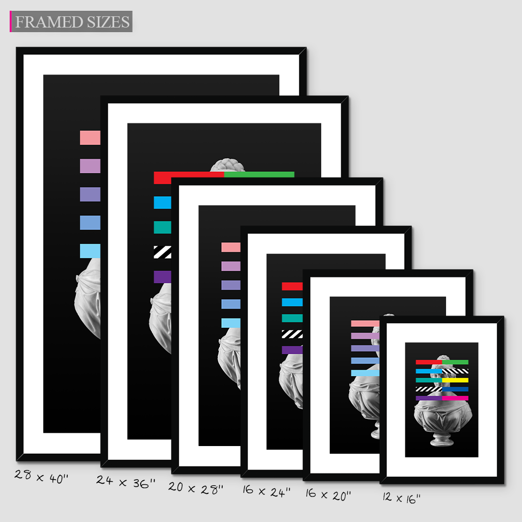 The Unknown Lady No 2 - Art Print