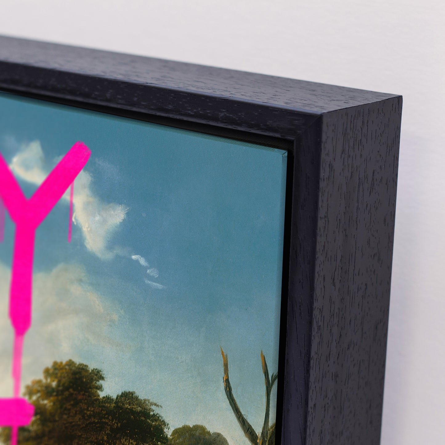 Happy Home Canvas Print